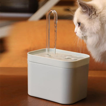 Fonte de água para gatos - AquaFeline